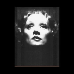Marlene Dietrich pop art wien MANUEL W STEPAN - Contemporary Art Design - Pop Art Kunst - Pop Art Wien - Kunst Wien - Design Wien - Art Direktor Wien - Film Wien - Kreativ Direktor Wien
